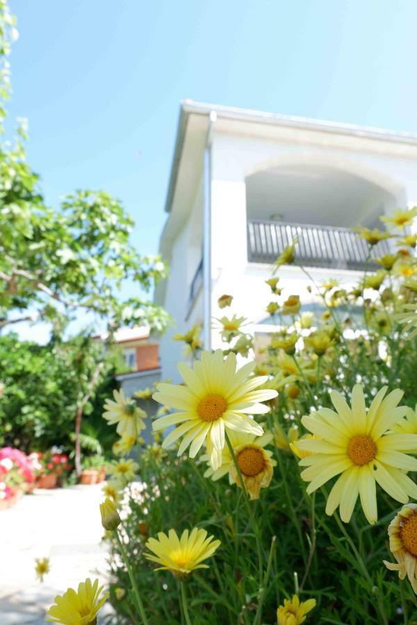 Apartment Ponos Krk Town Exterior photo